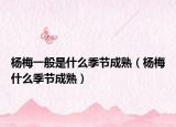 杨梅一般是什么季节成熟（杨梅什么季节成熟）