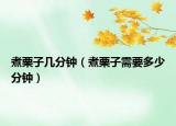 煮栗子几分钟（煮栗子需要多少分钟）