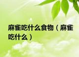 麻雀吃什么食物（麻雀吃什么）