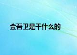 金吾卫是干什么的