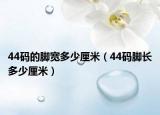44码的脚宽多少厘米（44码脚长多少厘米）