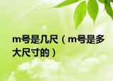 m号是几尺（m号是多大尺寸的）