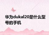 华为dukal20是什么型号的手机