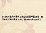 忘记支付宝支付密码怎么办用最简单的方法（支付宝支付密码忘了怎么办 解决方法总结如下）
