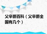 父辛爵百科（父辛爵全国有几个）