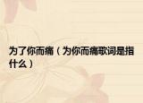 为了你而痛（为你而痛歌词是指什么）