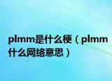 plmm是什么梗（plmm什么网络意思）