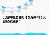 元胡种植适合打什么除草剂（元胡如何施肥）