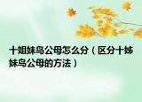 十姐妹鸟公母怎么分（区分十姊妹鸟公母的方法）