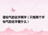 很仙气的名字两字（只有两个字 仙气的名字是什么）