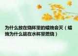 为什么放在烧杯里的蜡烛会灭（蜡烛为什么能在水杯里燃烧）