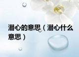 潜心的意思（潜心什么意思）