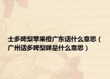 士多啤梨苹果橙广东话什么意思（广州话多啤梨咩是什么意思）