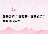 静默如初,宁静致远（静默如初宁静致远的含义）