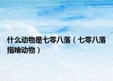 什么动物是七零八落（七零八落指啥动物）