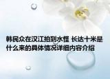 韩民众在汉江拍到水怪 长达十米是什么来的具体情况详细内容介绍