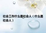 社会工作什么是社会人（什么是社会人）