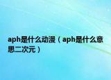 aph是什么动漫（aph是什么意思二次元）