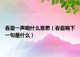春雷一声响什么意思（春雷响下一句是什么）