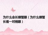为什么会长螃蟹眼（为什么螃蟹长着一对柄眼）