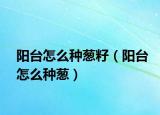 阳台怎么种葱籽（阳台怎么种葱）