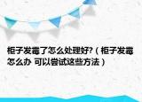 柜子发霉了怎么处理好?（柜子发霉怎么办 可以尝试这些方法）