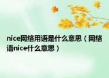 nice网络用语是什么意思（网络语nice什么意思）
