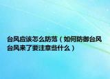 台风应该怎么防范（如何防御台风台风来了要注意些什么）