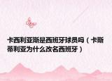 卡西利亚斯是西班牙球员吗（卡斯蒂利亚为什么改名西班牙）