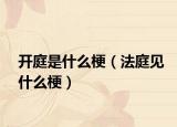 开庭是什么梗（法庭见什么梗）