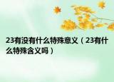 23有没有什么特殊意义（23有什么特殊含义吗）