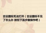 音量图标无法打开（音量图标不见了怎么办 按照下面步骤操作吧）