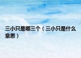 三小只是哪三个（三小只是什么意思）