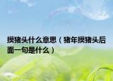 摸猪头什么意思（猪年摸猪头后面一句是什么）