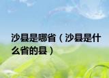 沙县是哪省（沙县是什么省的县）
