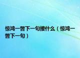 惊鸿一瞥下一句接什么（惊鸿一瞥下一句）