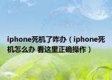 iphone死机了咋办（iphone死机怎么办 看这里正确操作）