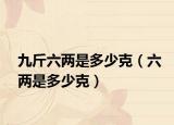 九斤六两是多少克（六两是多少克）