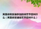 黄圣依和安迪参加的综艺节目叫什么（黄圣依安迪综艺节目叫什么）