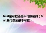 fruit是可数还是不可数名词（fruit是可数还是不可数）