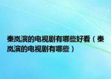 秦岚演的电视剧有哪些好看（秦岚演的电视剧有哪些）