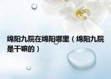 绵阳九院在绵阳哪里（绵阳九院是干嘛的）