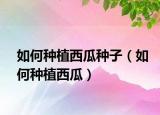 如何种植西瓜种子（如何种植西瓜）