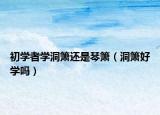 初学者学洞箫还是琴箫（洞箫好学吗）