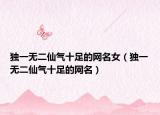 独一无二仙气十足的网名女（独一无二仙气十足的网名）