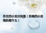 苏北四小龙分别是（苏南四小龙指的是什么）