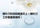 柳叶刀科技和琳琅天上（柳叶刀工作室是琳琅吗）