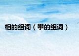 相的组词（攀的组词）