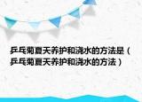乒乓菊夏天养护和浇水的方法是（乒乓菊夏天养护和浇水的方法）