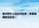 家中种什么花旺财旺家（家里栽哪些花旺财）